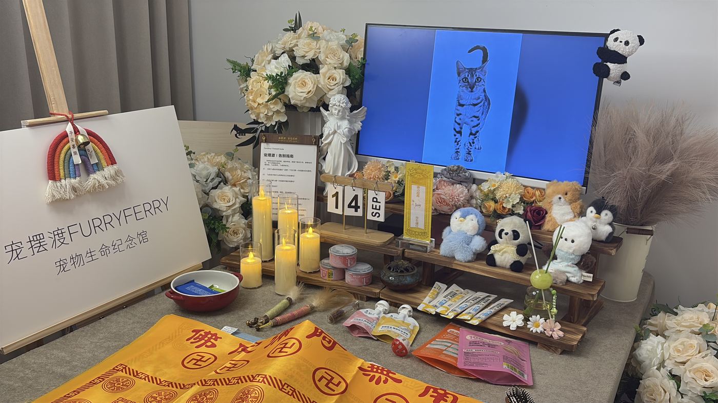 流程是否清晰可查