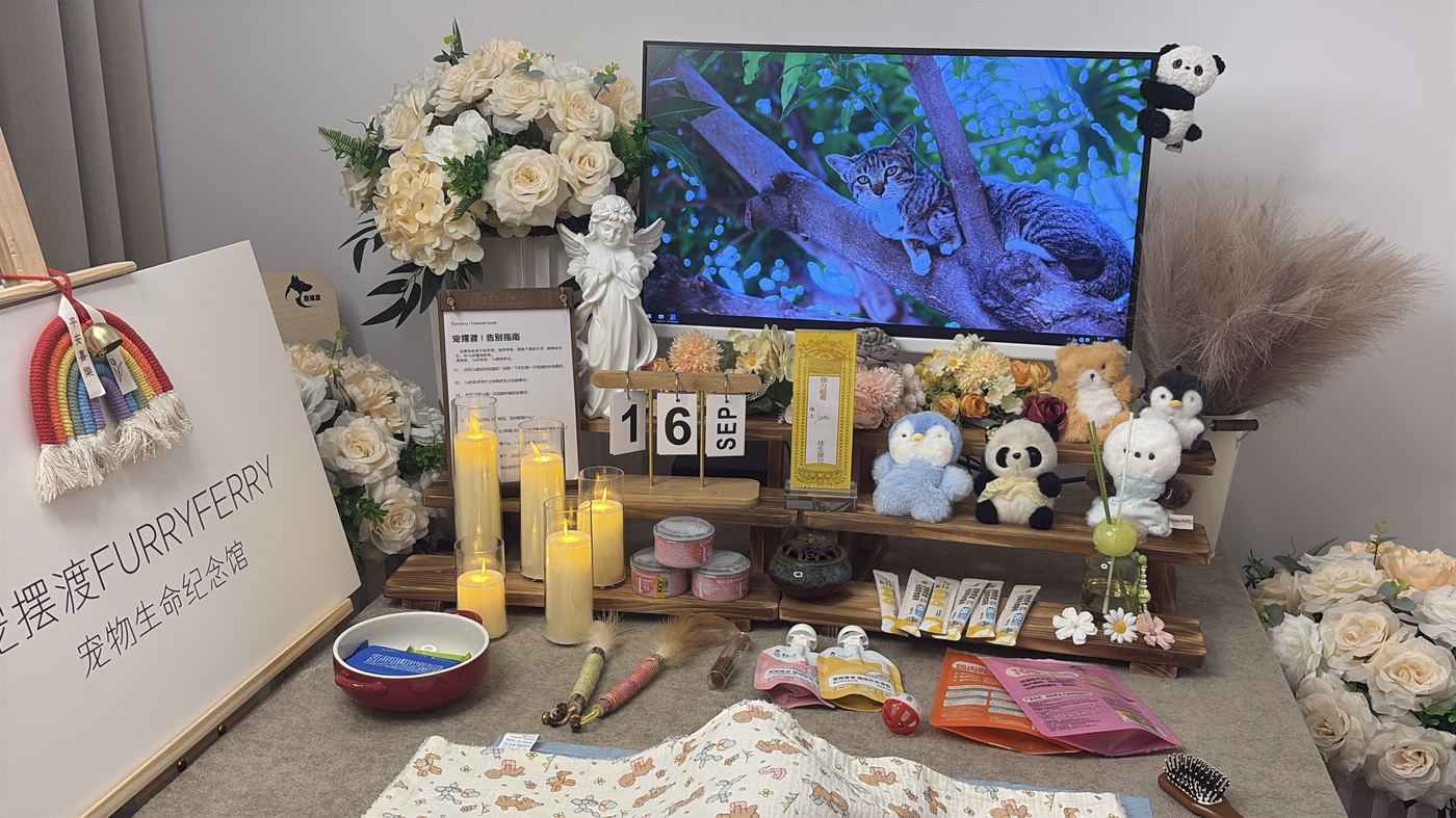 开具死亡证明
