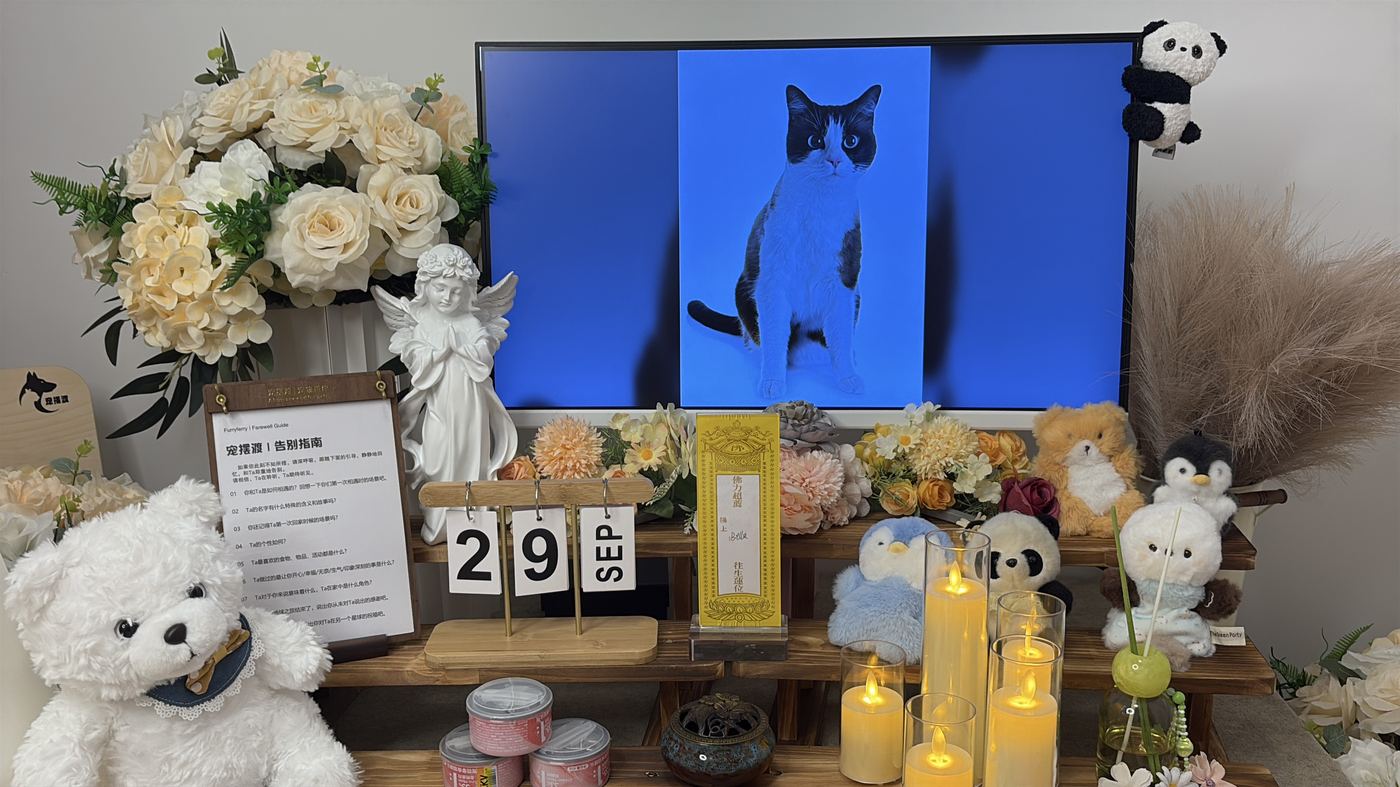 二、每一笔钱花在哪里