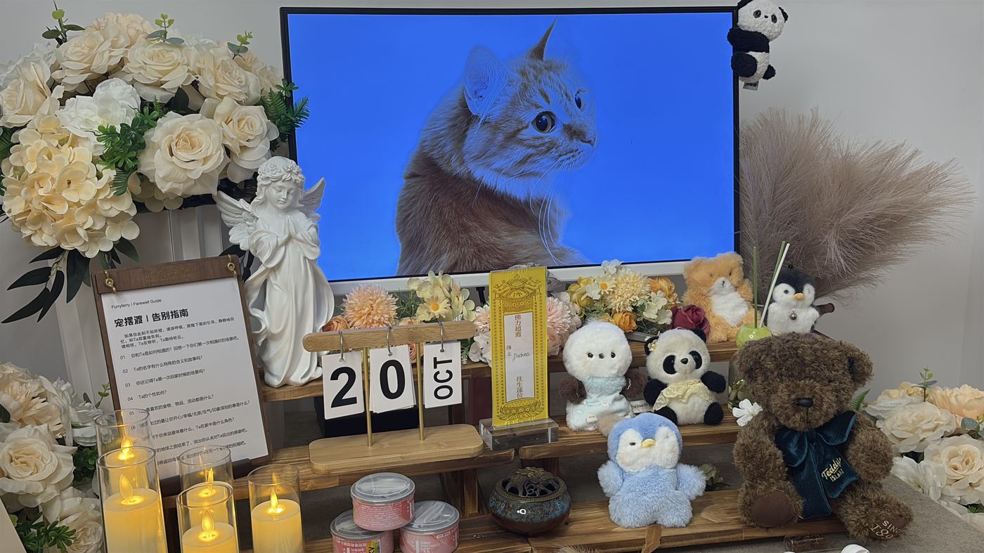 节日期间宠物殡葬服务安排：广州春节与清明假期指南