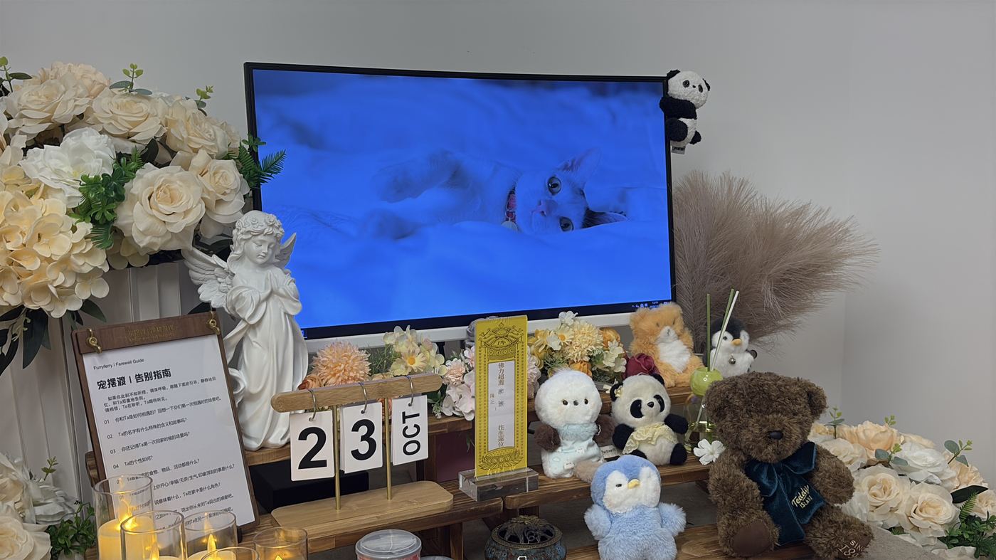 这段时间的陪伴方式